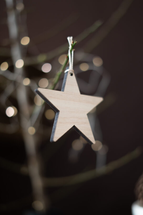 ADORNITOS PARA EL ÁRBOL x10un -CLÁSICOS- - Imagen 6