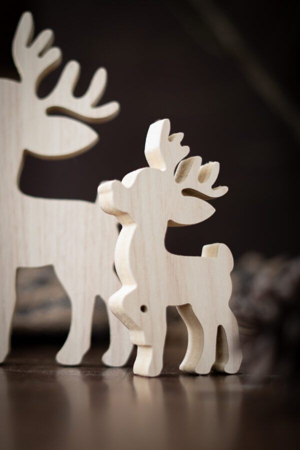 PACK DE RENOS - Imagen 3