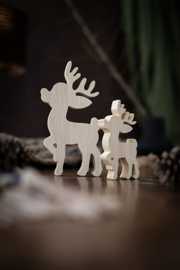 PACK DE RENOS - Imagen 2